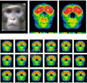 红外热成像在生物识别检测中的应用研究