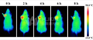 畜牧养殖红外热成像测温应用