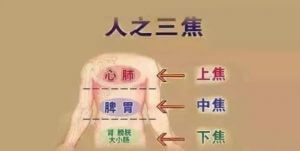 红外热成像在中医三焦辩证应用浅析