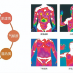 红外热成像看脏腑功能 红外热成像看脏腑功能