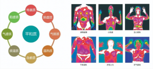 红外热成像看脏腑功能
