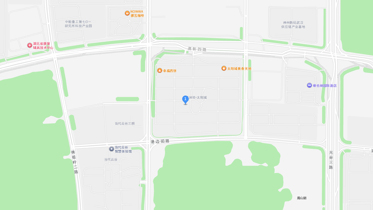 武汉华景康光电科技有限公司